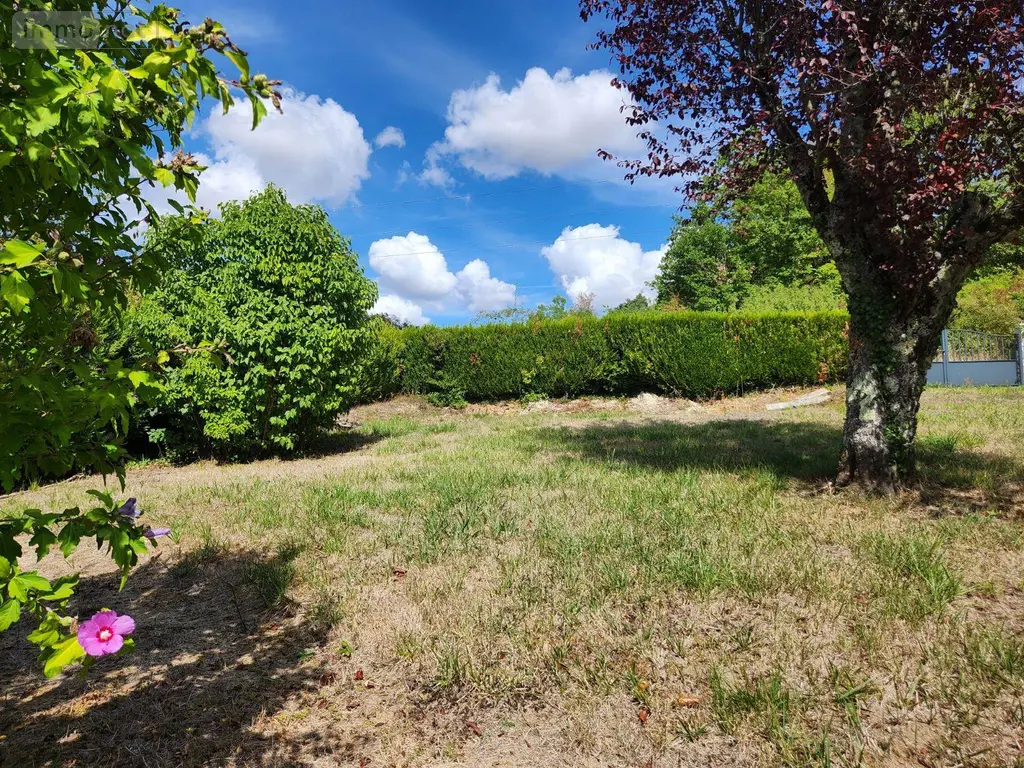 Maison a vendre Arsonval 10200 Aube 10 160 m2 7 pièces 300000 euros 10379/672 020