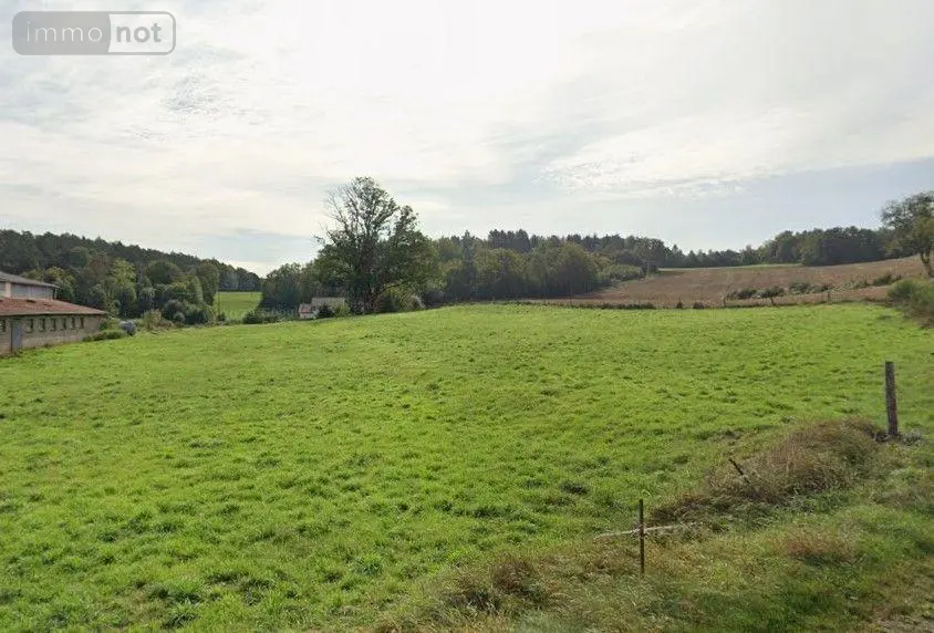 Terrain a batir a vendre Pouxeux 88550 Vosges 88 1200 m2 55000 euros 88014/93 001