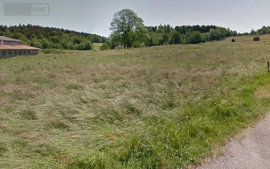Terrain a batir a vendre Pouxeux 88550 Vosges 88 1200 m2 55000 euros 88014/93 002