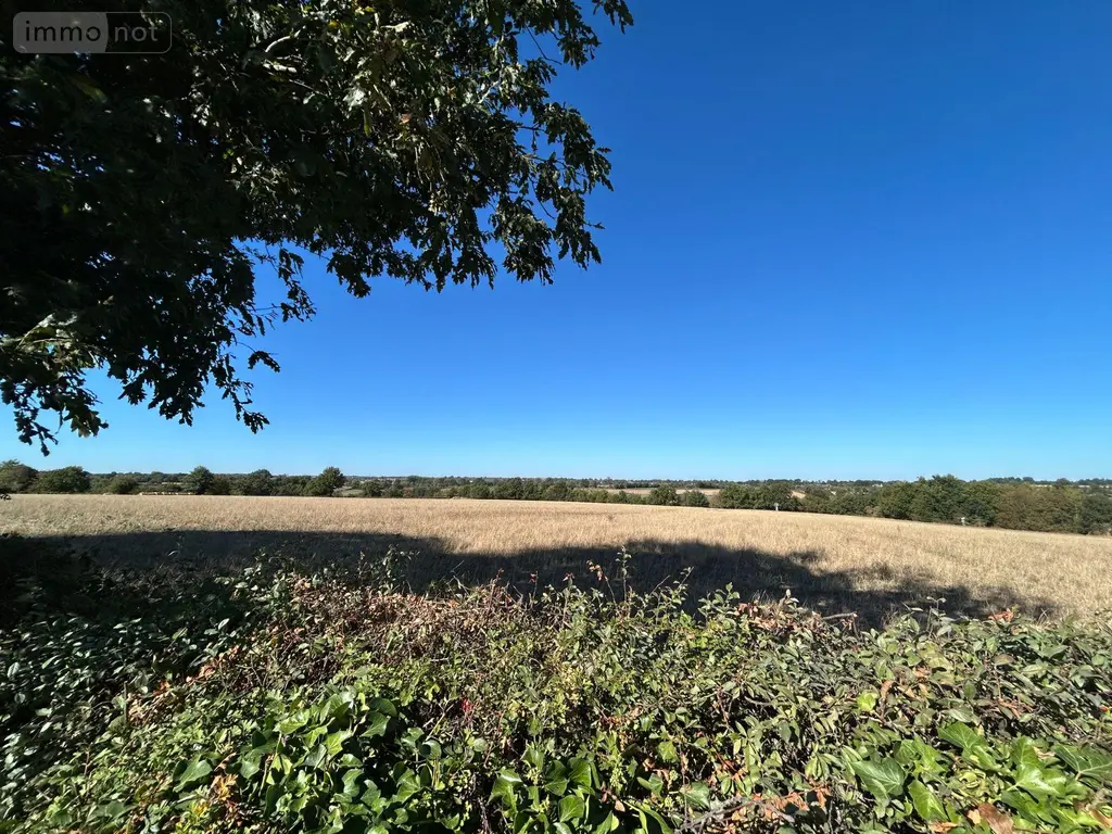 Maison a vendre Chalonnes-sur-Loire 49290 Maine-et-Loire 49 150 m2 7 pièces 402420 euros 12516/1338 002
