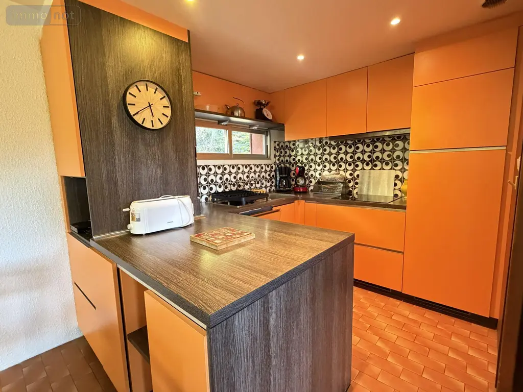 Maison a vendre Laveissière 15300 Cantal 15 100 m2 4 pièces 344500 euros 15061-99 015
