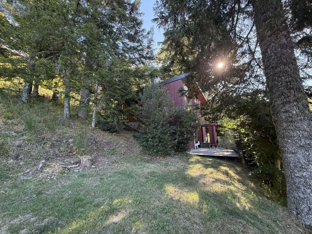 Maison a vendre Laveissière 15300 Cantal 15 100 m2 4 pièces 344500 euros 15061-99 004