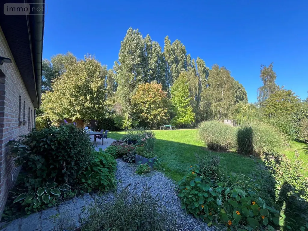 Maison a vendre Steenvoorde 59114 Nord 59 150 m2 6 pièces 364000 euros 13078/3686 001