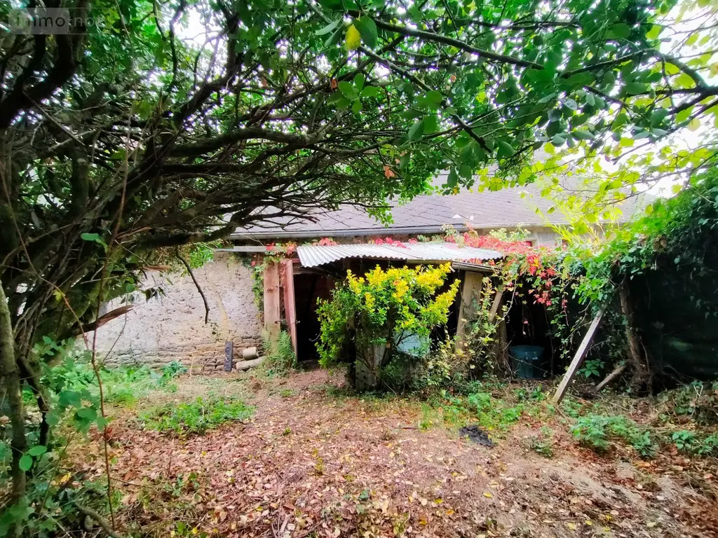 Maison a vendre Mesnil-Roc'h 35720 Ille-et-Vilaine 35 130 m2 2 pièces 55000 euros 295 002
