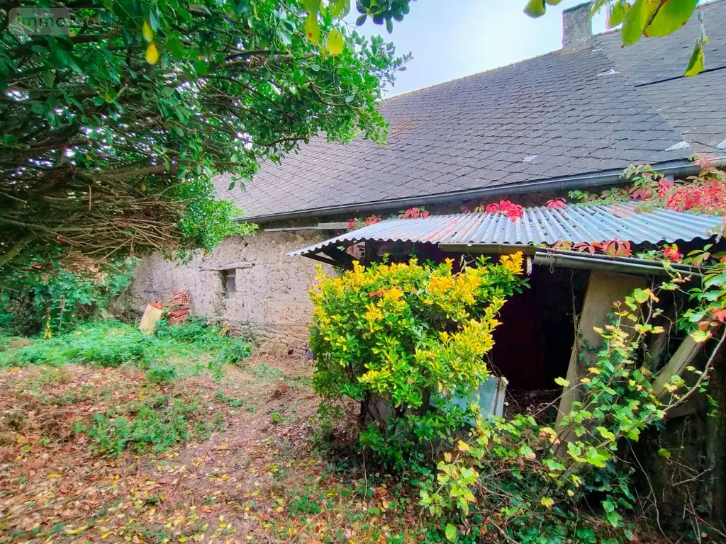 Maison a vendre Mesnil-Roc'h 35720 Ille-et-Vilaine 35 130 m2 2 pièces 55000 euros 295 003