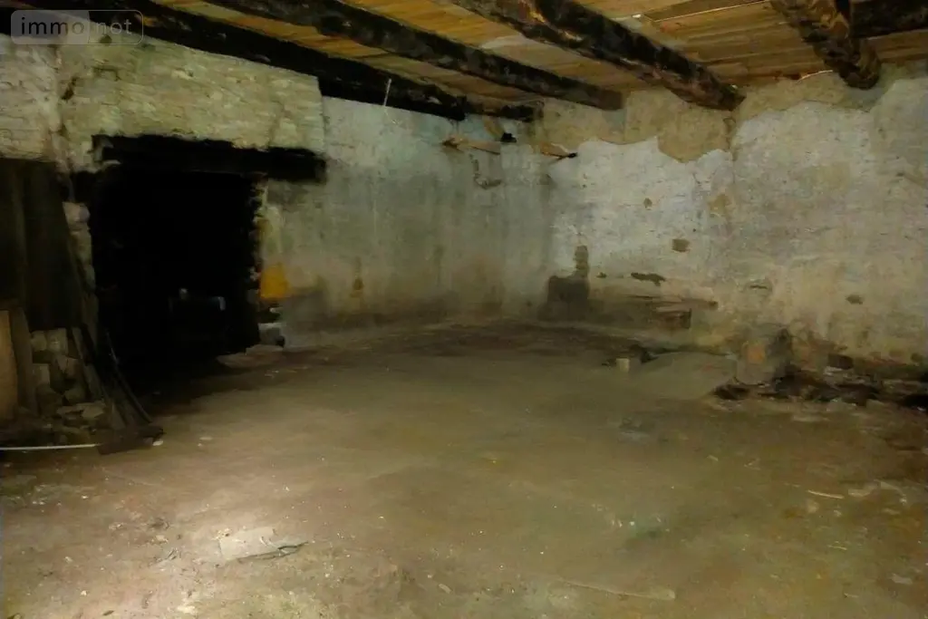 Maison a vendre Mesnil-Roc'h 35720 Ille-et-Vilaine 35 130 m2 2 pièces 55000 euros 295 012