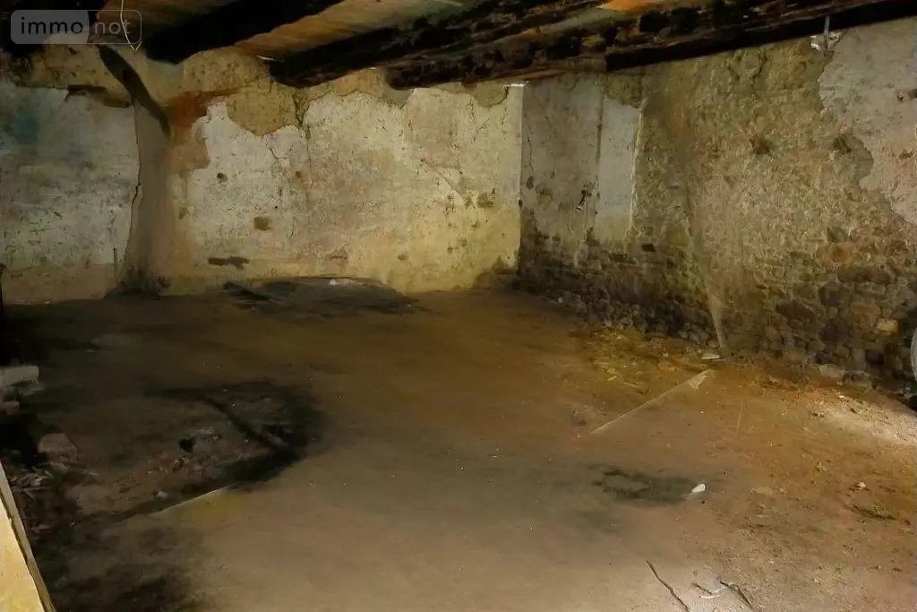Maison a vendre Mesnil-Roc'h 35720 Ille-et-Vilaine 35 130 m2 2 pièces 55000 euros 295 013