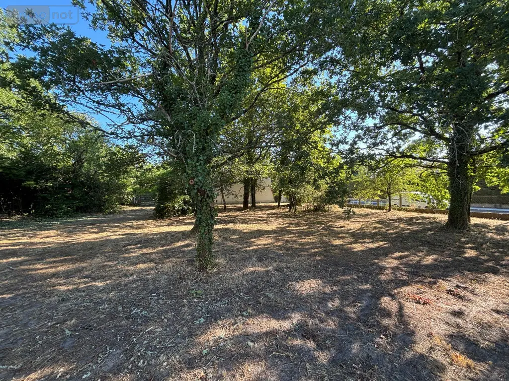 Terrain a batir a vendre Parempuyre 33290 Gironde 33 260 m2 152075 euros 032/1726 001