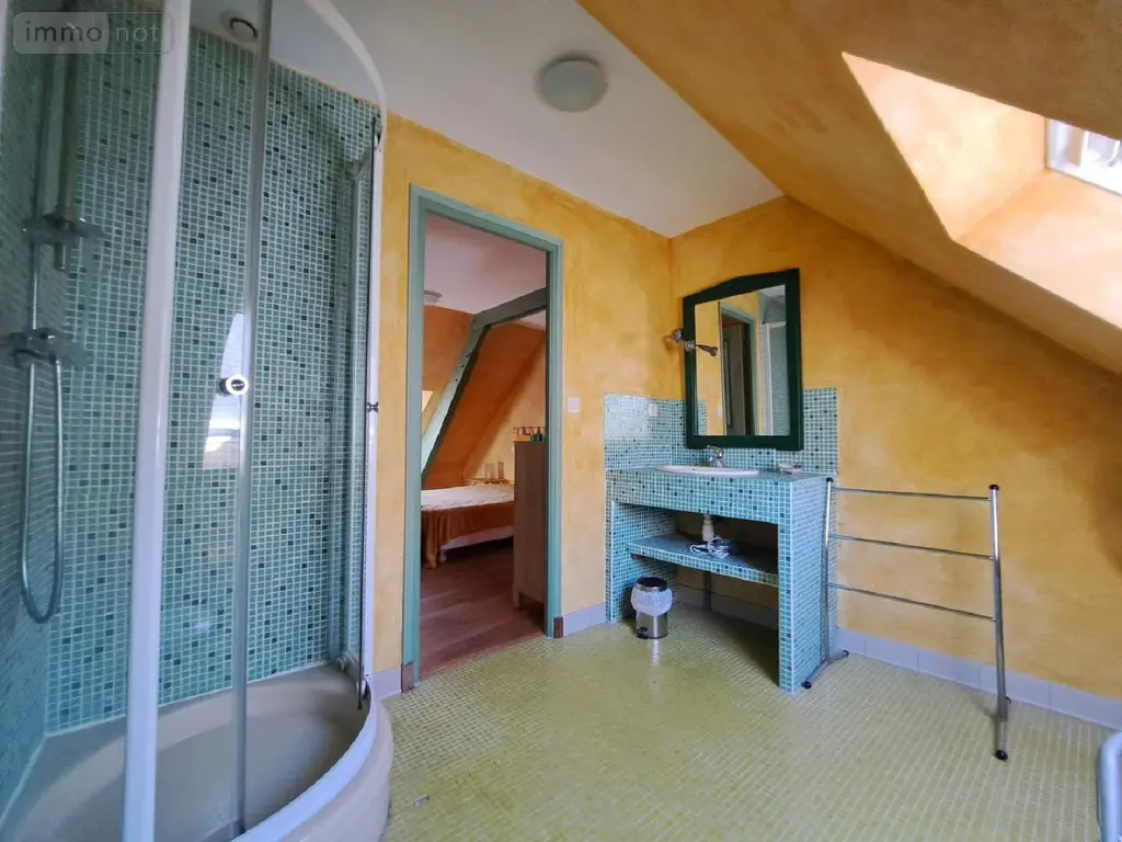 Propriete a vendre Livré-la-Touche 53400 Mayenne 53 320 m2 11 pièces 363800 euros 076/2711-GIL 016