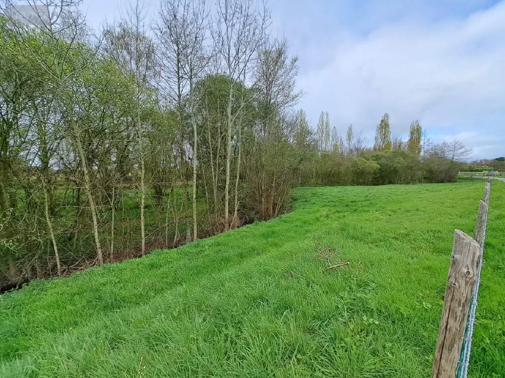 Terrains de loisirs bois etangs a vendre Prée-d'Anjou 53200 Mayenne 53 63360 euros 076/2758-MAD 006
