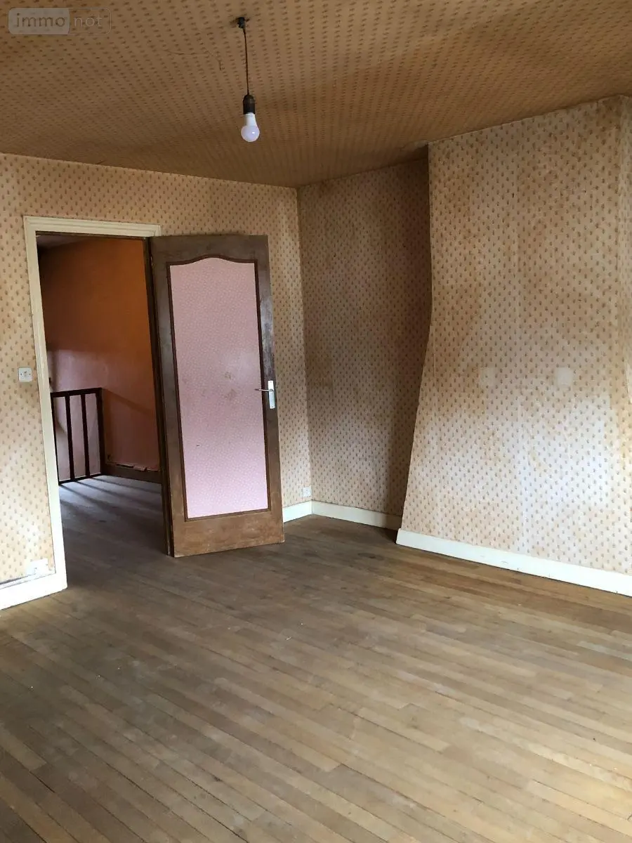 Immeuble de rapport a vendre Issoudun 36100 Indre 36 120 m2 44000 euros 11813/1552 004