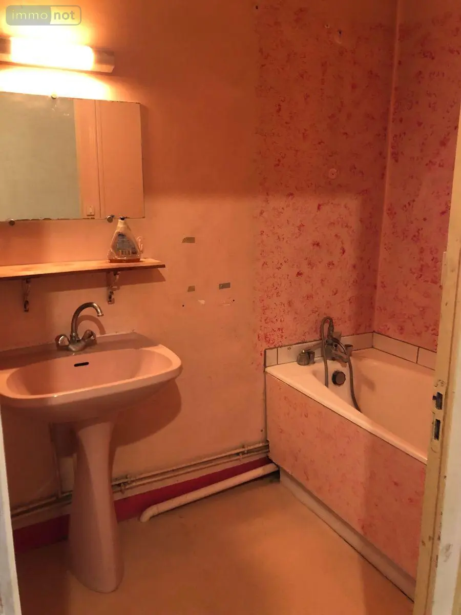 Immeuble de rapport a vendre Issoudun 36100 Indre 36 120 m2 44000 euros 11813/1552 005