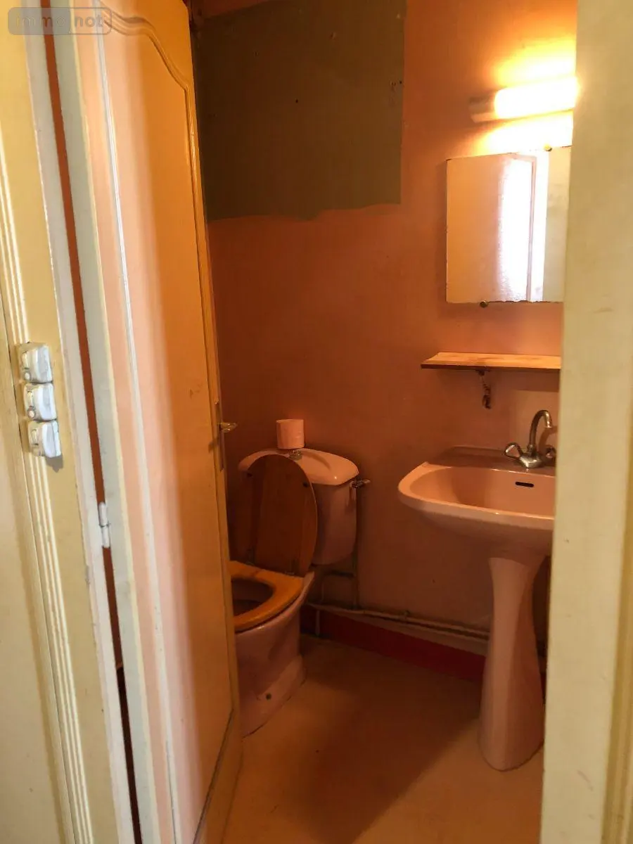 Immeuble de rapport a vendre Issoudun 36100 Indre 36 120 m2 44000 euros 11813/1552 007