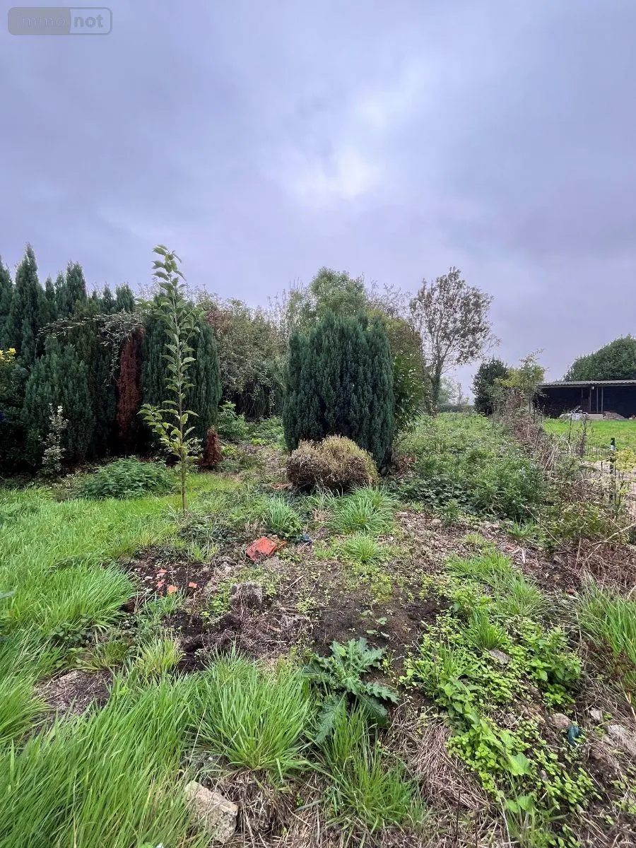 Maison a vendre Audincthun 62560 Pas-de-Calais 62 83 m2 4 pièces 127500 euros 13078/3688 010