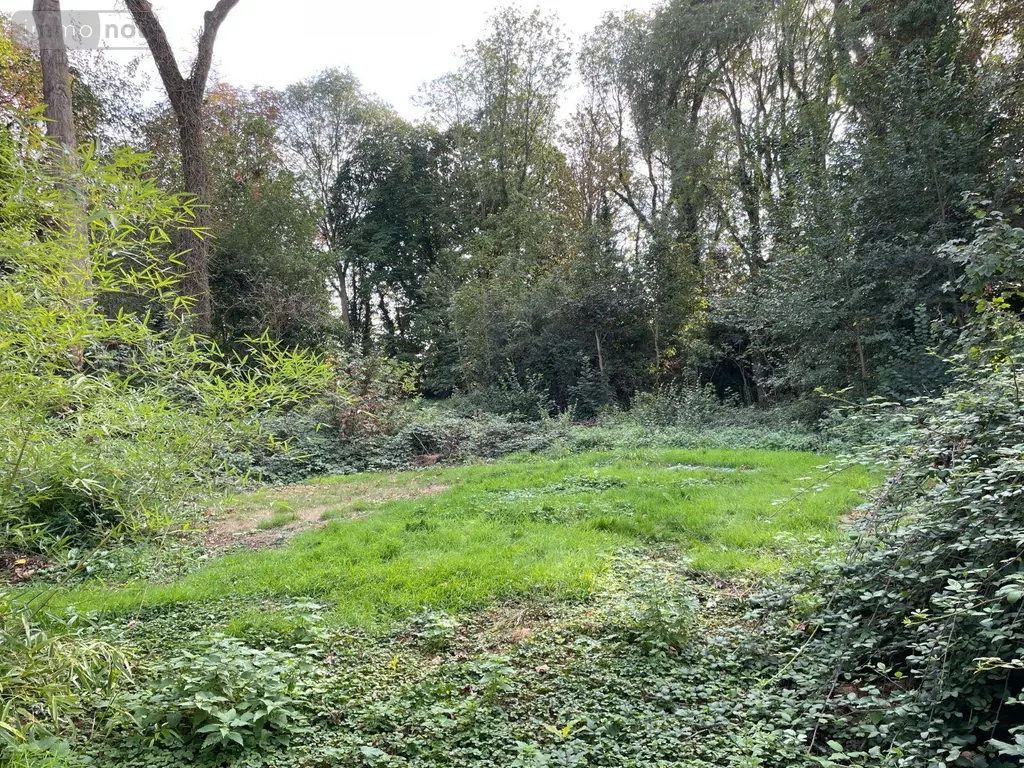 Maison a vendre Nieppe 59850 Nord 59 59 m2 3 pièces 139600 euros F30467 005