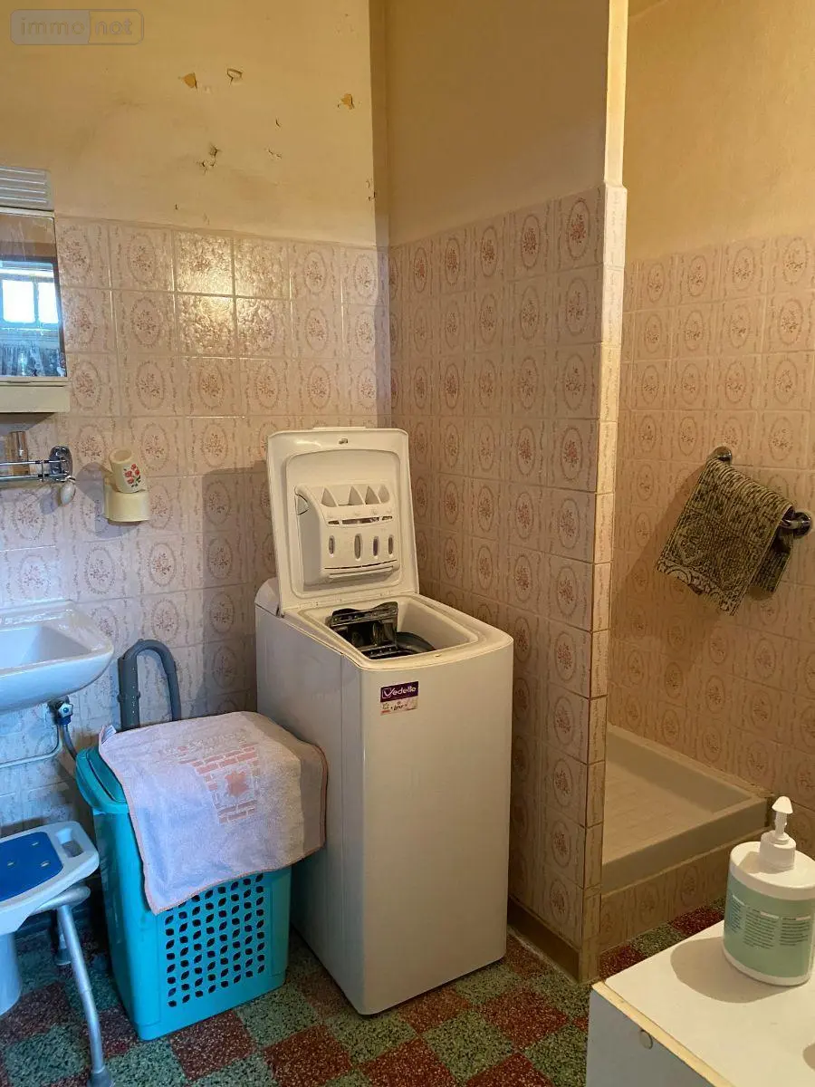 Maison a vendre Châtillon-sur-Indre 36700 Indre 36 77 m2 4 pièces 52000 euros 1051151 012