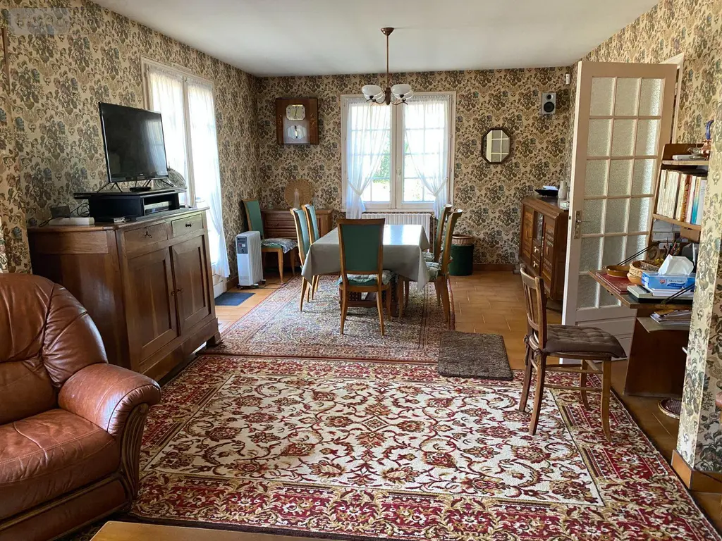 Maison a vendre Châtillon-sur-Indre 36700 Indre 36 150 m2 6 pièces 160200 euros 1046585 003