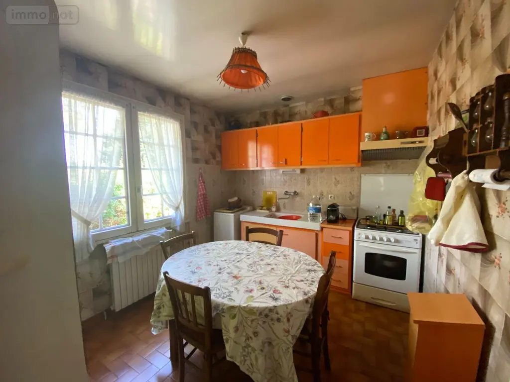 Maison a vendre Châtillon-sur-Indre 36700 Indre 36 150 m2 6 pièces 160200 euros 1046585 004