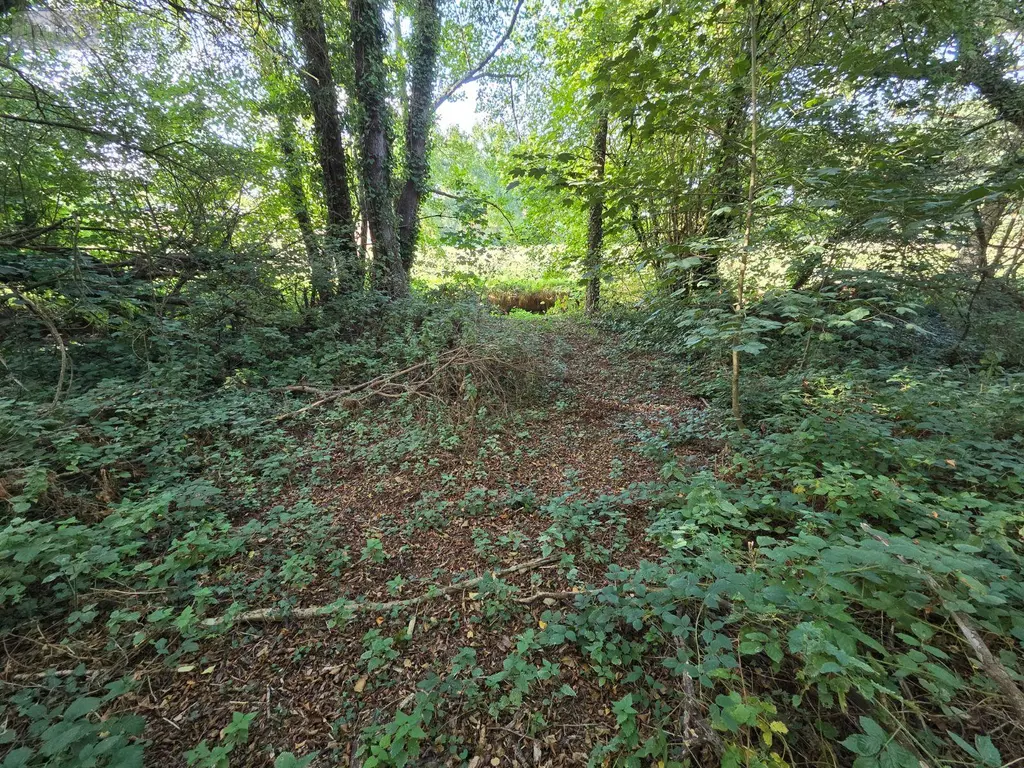 Maison a vendre Saint-Aubin-Fosse-Louvain 53120 Mayenne 53 107 m2 4 pièces 84000 euros 53075DLS26027 016