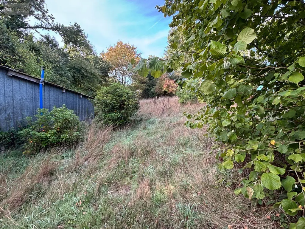 Maison a vendre Saint-Thois 29520 Finistère 29 50 m2 2 pièces 85200 euros MAIS/1106 017