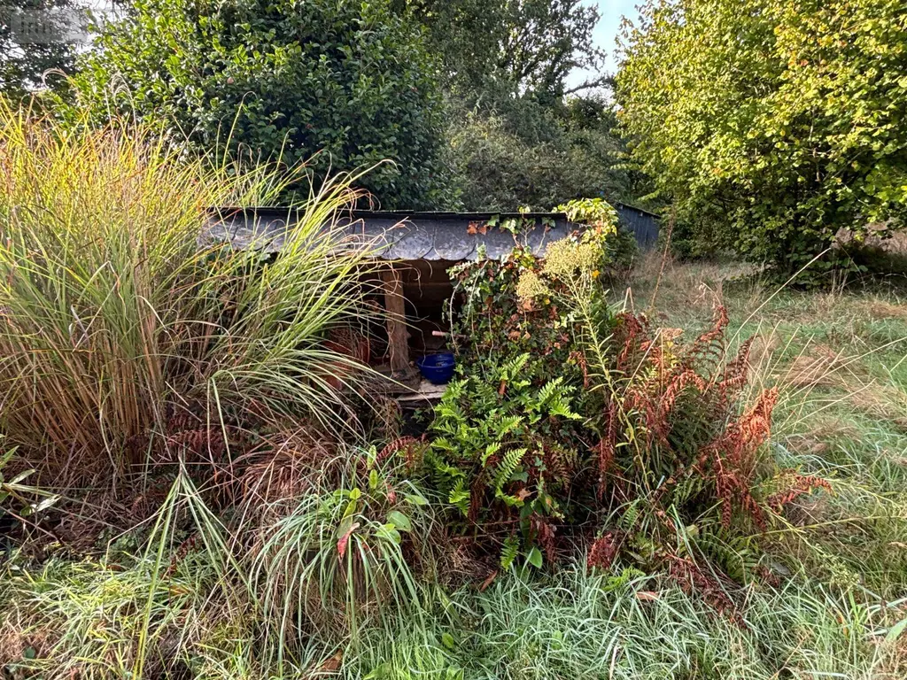 Maison a vendre Saint-Thois 29520 Finistère 29 50 m2 2 pièces 85200 euros MAIS/1106 019
