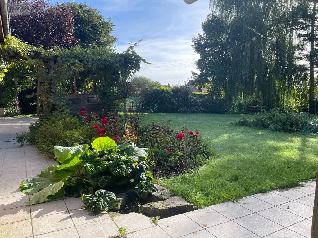 Maison a vendre Bailleul 59270 Nord 59 121 m2 4 pièces 362600 euros F30469 005