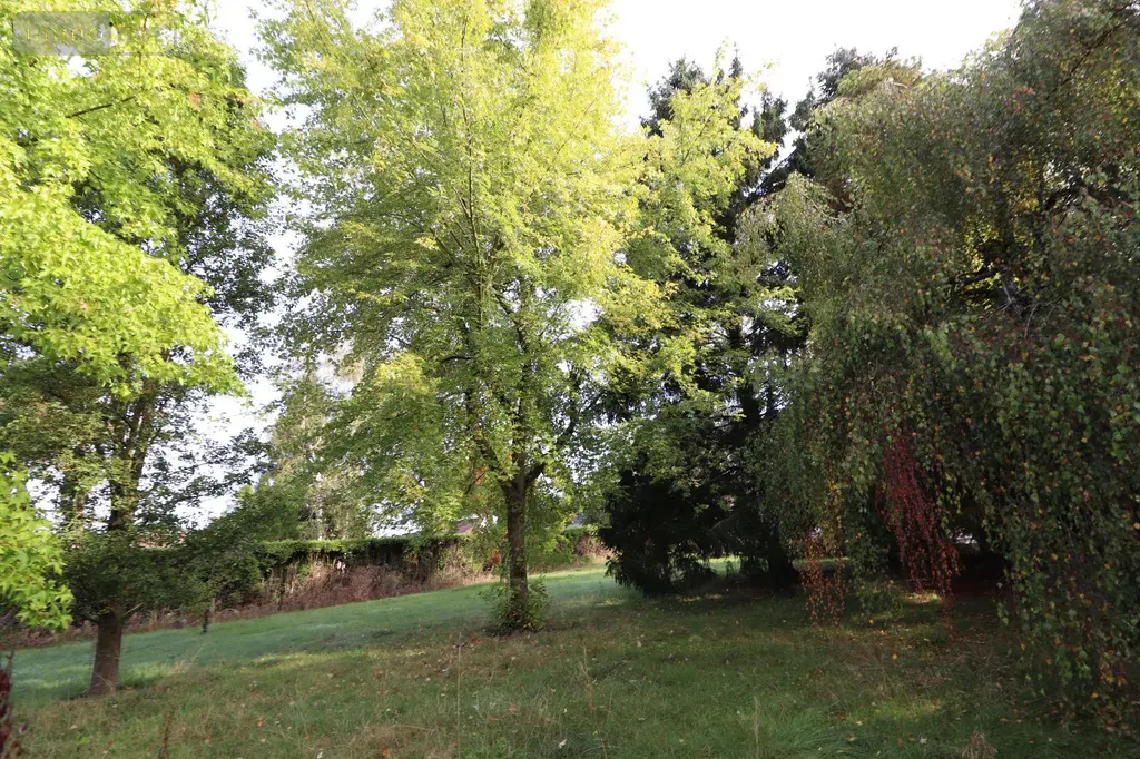 Maison a vendre Comines 59560 Nord 59 120 m2 6 pièces 338000 euros 1901 002