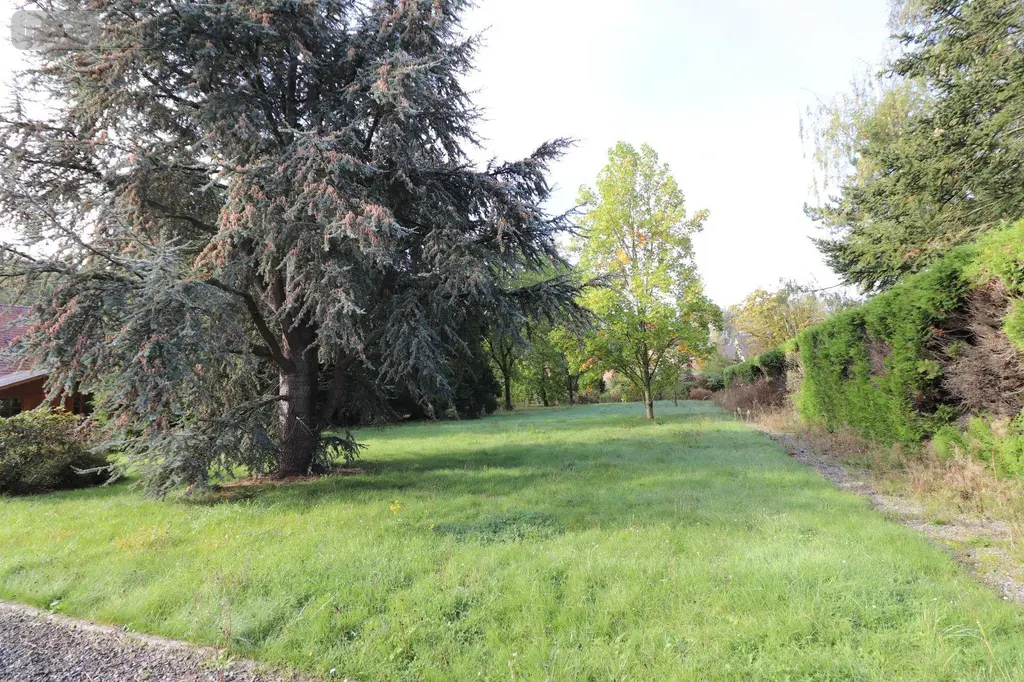 Maison a vendre Comines 59560 Nord 59 120 m2 6 pièces 338000 euros 1901 008
