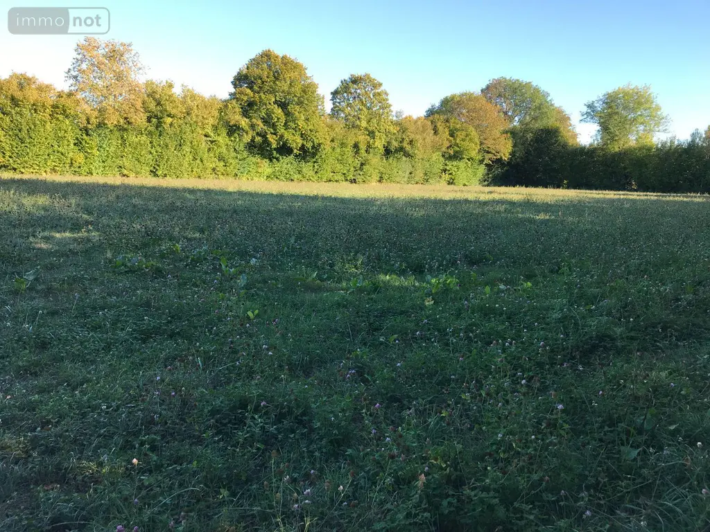 Terrain a batir a vendre Beaufay 72110 Sarthe 72 37800 euros 079/2052 002