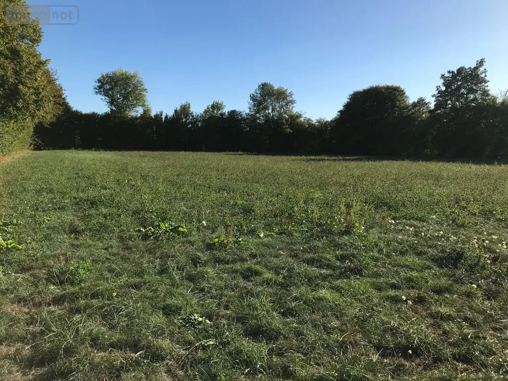 Terrain a batir a vendre Beaufay 72110 Sarthe 72 37800 euros 079/2052 003