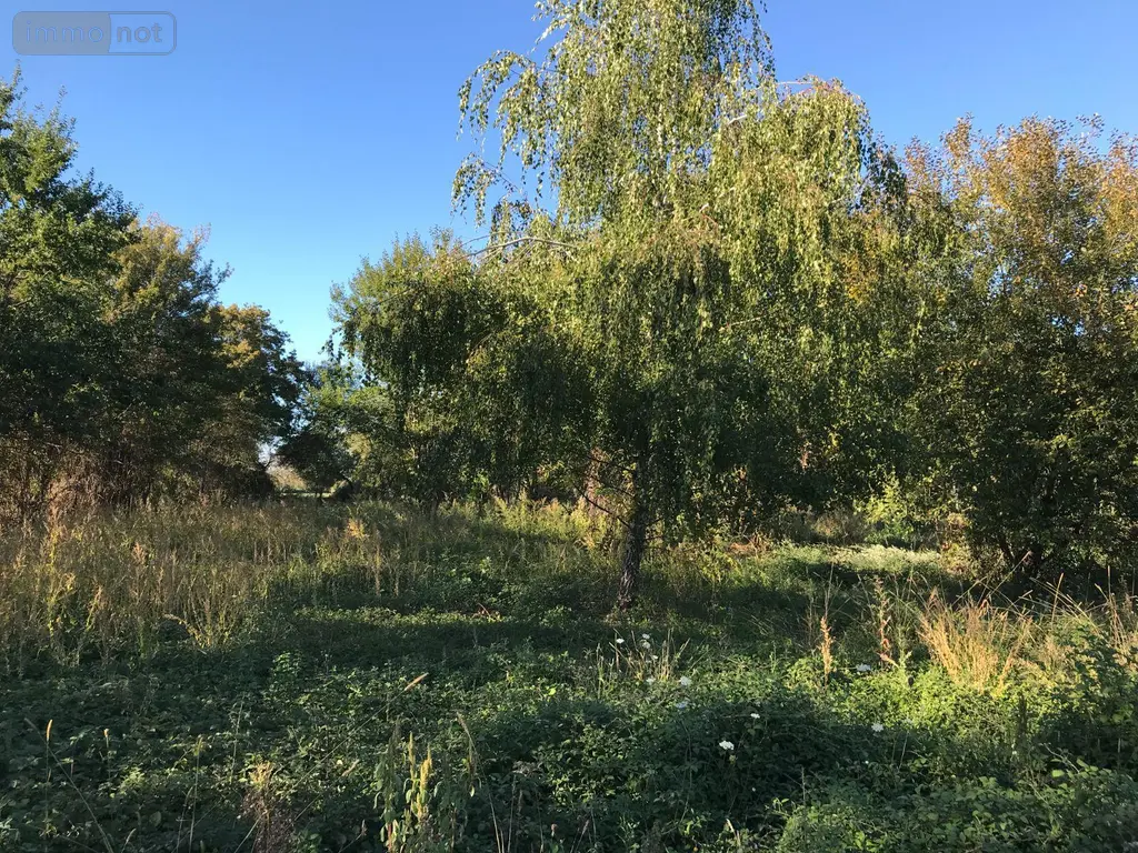 Terrain a batir a vendre Beaufay 72110 Sarthe 72 37800 euros 079/2053 003