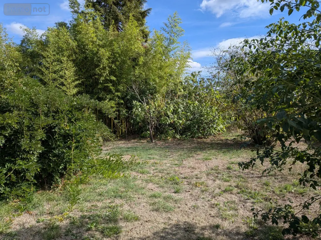 Terrain a batir a vendre Loupes 33370 Gironde 33 135000 euros 045/2233 003