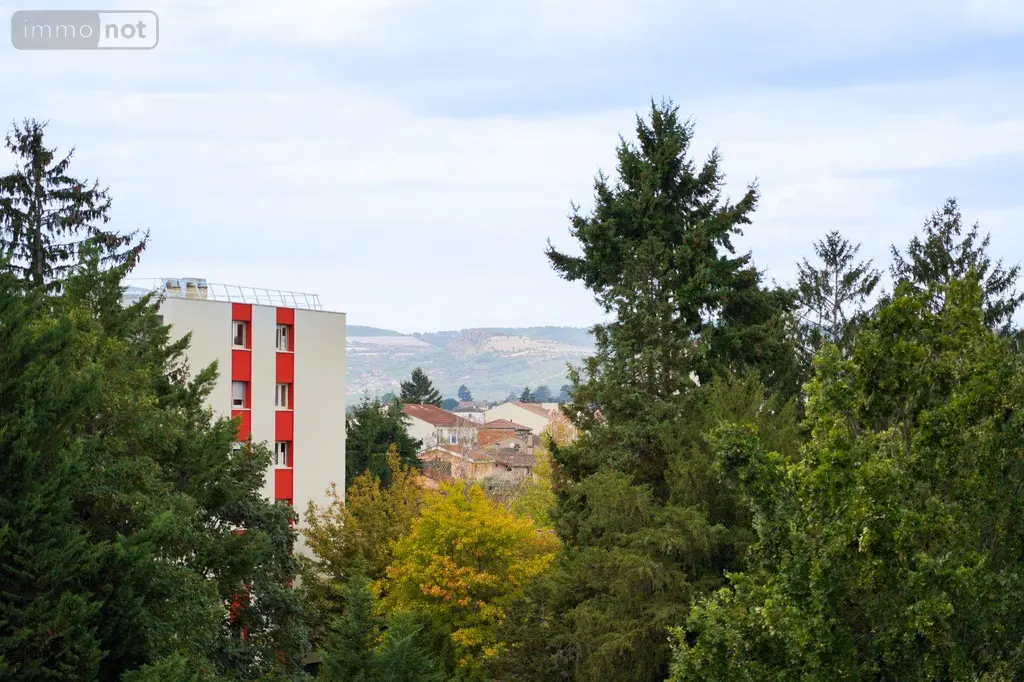 Appartement a vendre Mâcon 71000 Saône-et-Loire 71 41 m2 2 pièces 89000 euros 13779/1012 007