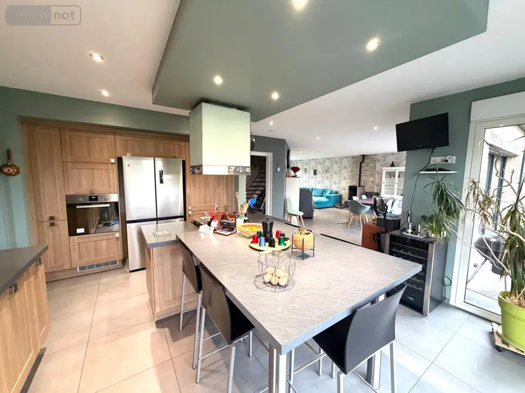 Maison a vendre Hondschoote 59122 Nord 59 225 m2 12 pièces 645000 euros H02249 005