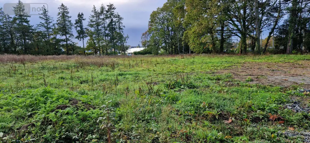 Terrain a batir a vendre Ploërmel 56800 Morbihan 56 69200 euros 35176/453 011