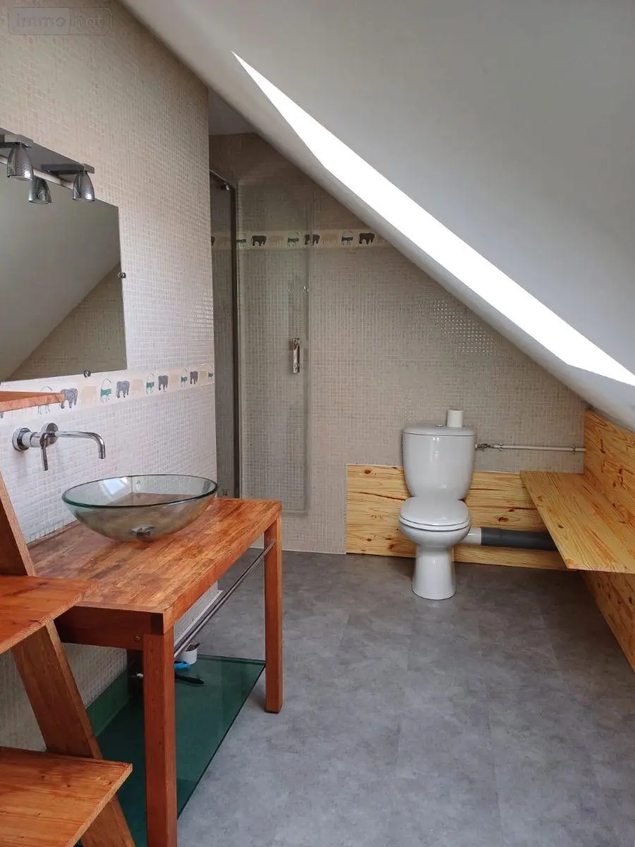 Immeuble de rapport a vendre Le Mans 72000 Sarthe 72 137 m2 8 pièces 270800 euros NL-72-260 019