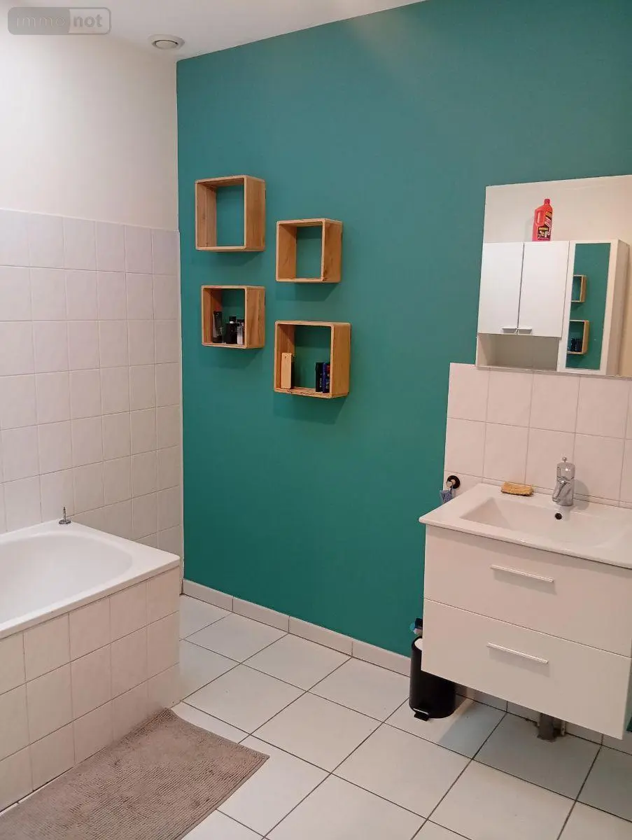 Location maison Tavers 45190 Loiret 45 109 m2 4 pièces 815 euros 091/1542 011