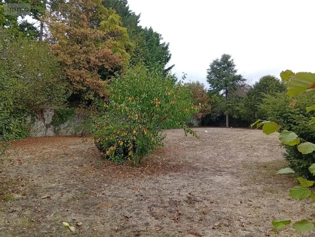 Location maison Tavers 45190 Loiret 45 109 m2 4 pièces 815 euros 091/1542 012