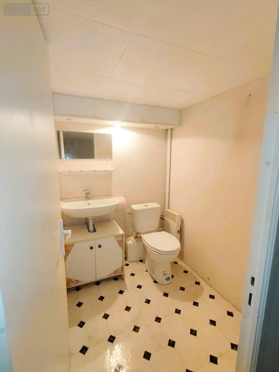 Maison a vendre Bonneuil-Matours 86210 Vienne 86 66 m2 3 pièces 121000 euros 2579 011