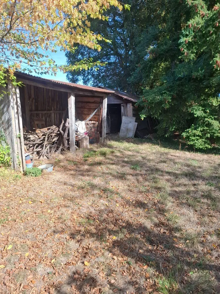Maison a vendre La Chapelotte 18250 Cher 18 66 m2 3 pièces 55000 euros 18016/2252 012