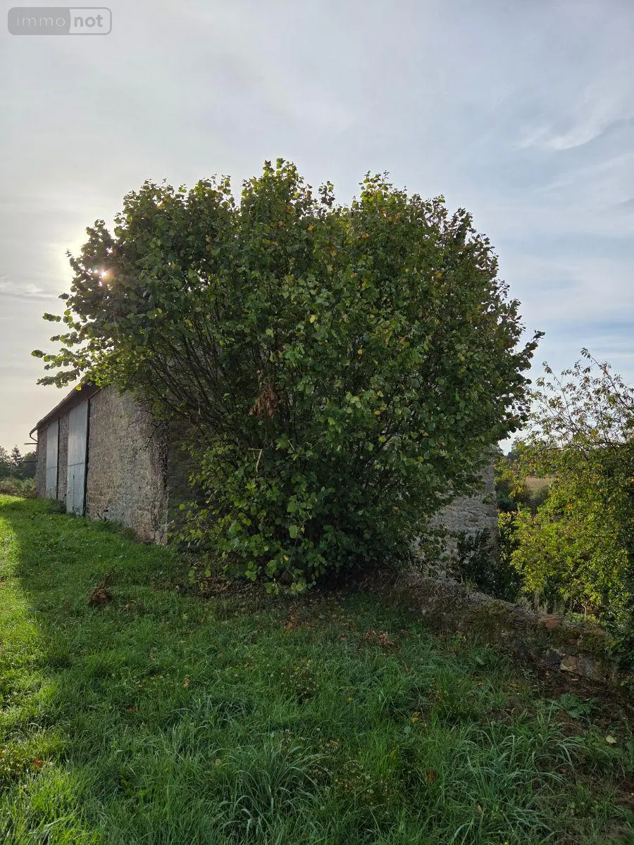 Terrains de loisirs bois etangs a vendre Villaines-la-Juhel 53700 Mayenne 53 24380 euros 1414 011