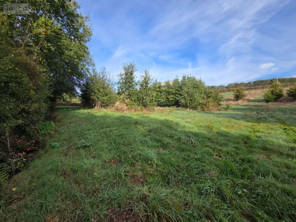 Terrains de loisirs bois etangs a vendre Villaines-la-Juhel 53700 Mayenne 53 24380 euros 1414 032