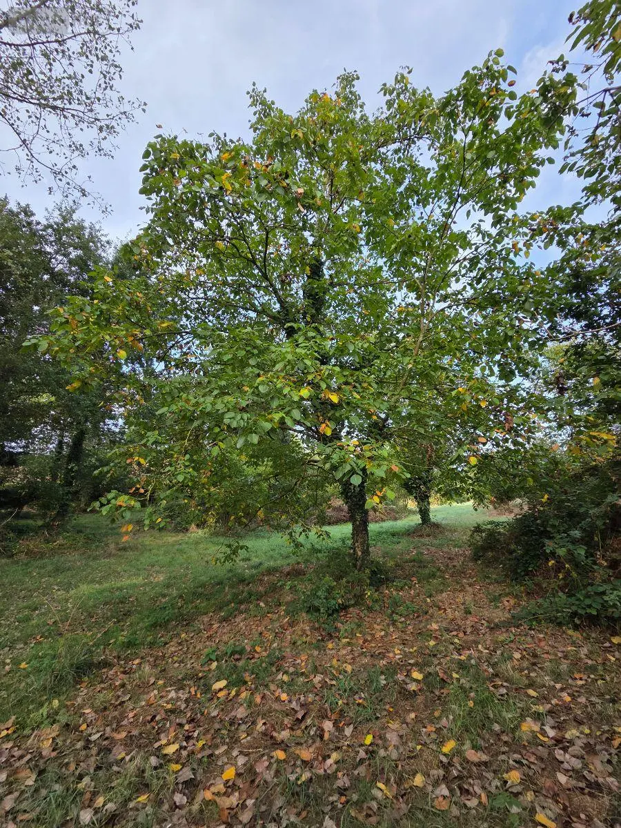 Terrains de loisirs bois etangs a vendre Villaines-la-Juhel 53700 Mayenne 53 24380 euros 1414 038