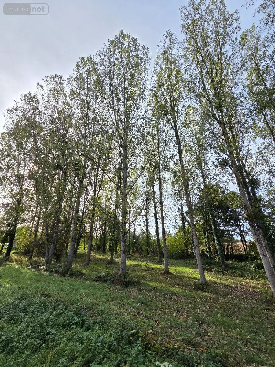 Terrains de loisirs bois etangs a vendre Villaines-la-Juhel 53700 Mayenne 53 24380 euros 1414 039