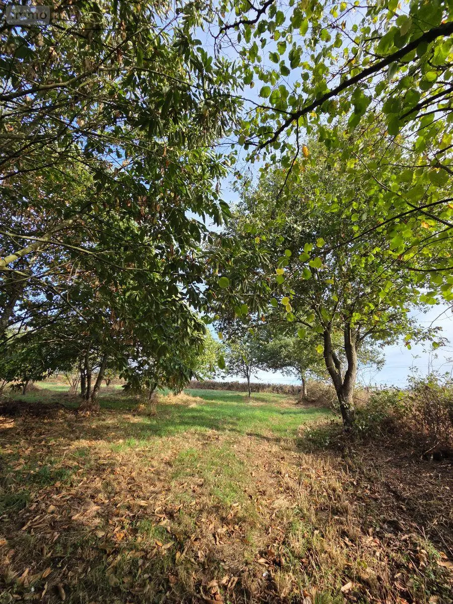 Terrains de loisirs bois etangs a vendre Villaines-la-Juhel 53700 Mayenne 53 24380 euros 1414 041