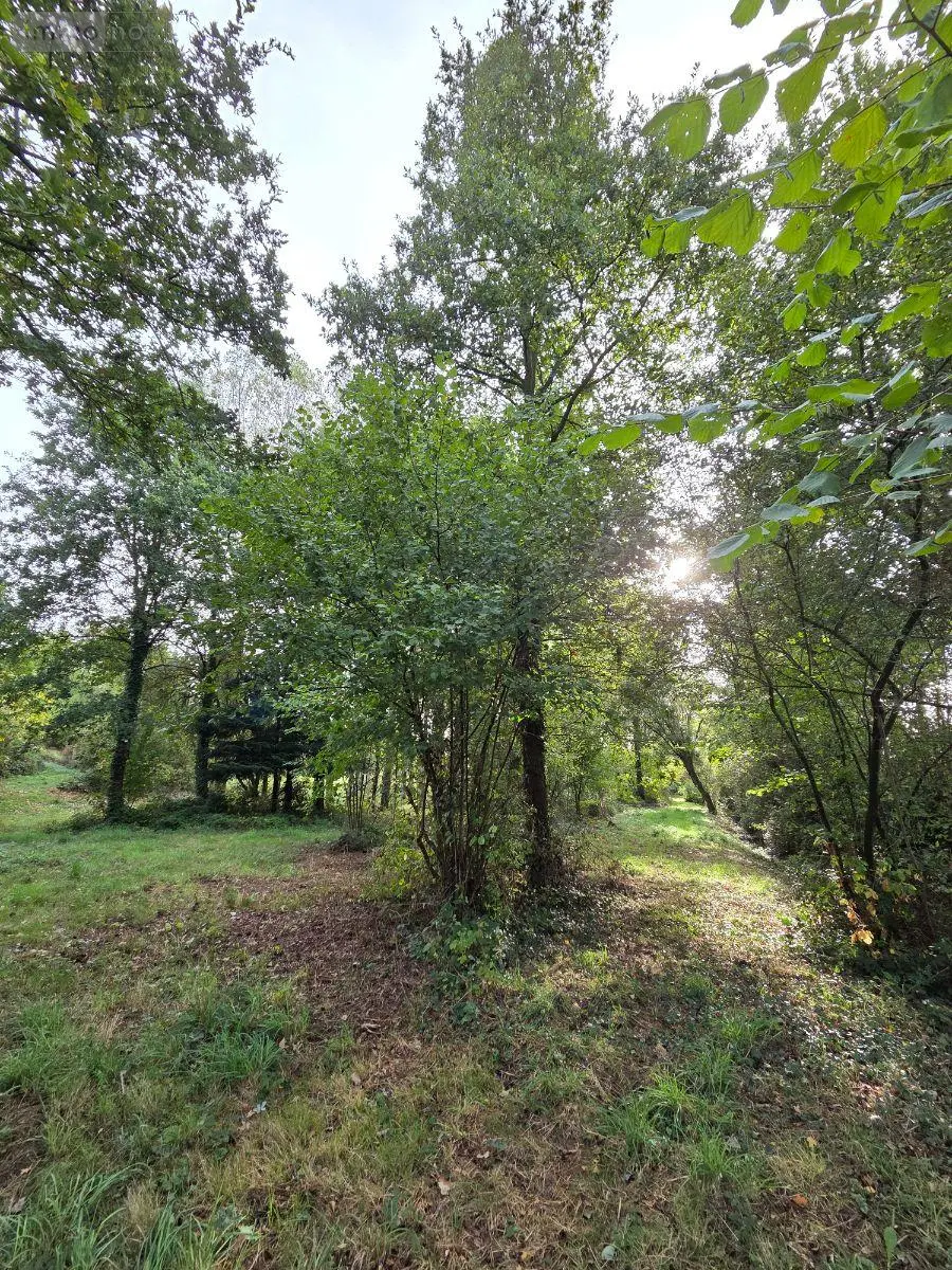 Terrains de loisirs bois etangs a vendre Villaines-la-Juhel 53700 Mayenne 53 24380 euros 1414 042