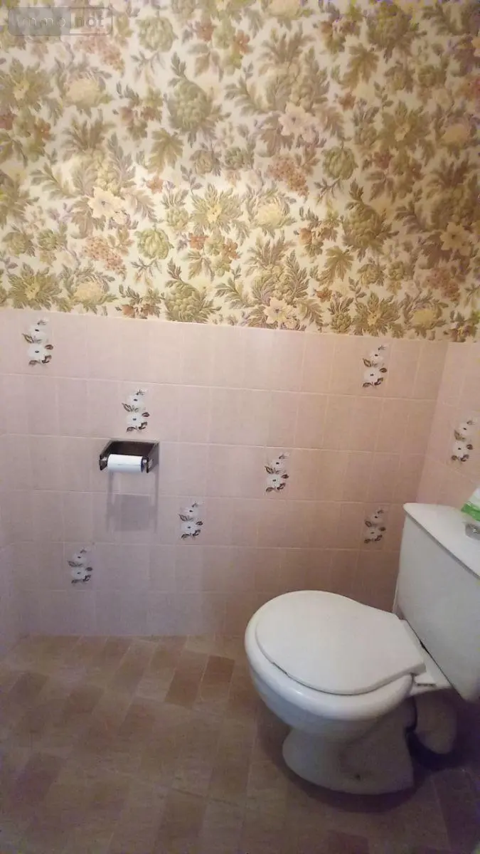 Maison a vendre Murat 15300 Cantal 15 138 m2 28000 euros FG/2609 019