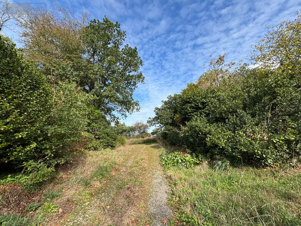 Maison a vendre Landudal 29510 Finistère 29 100 m2 5 pièces 116400 euros MAIS/1108 033