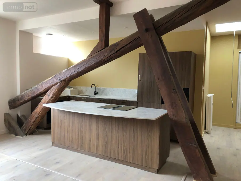 Location appartement Chalon-sur-Saône 71100 Saône-et-Loire 71 123 m2 4 pièces 1125 euros 13783/592 001