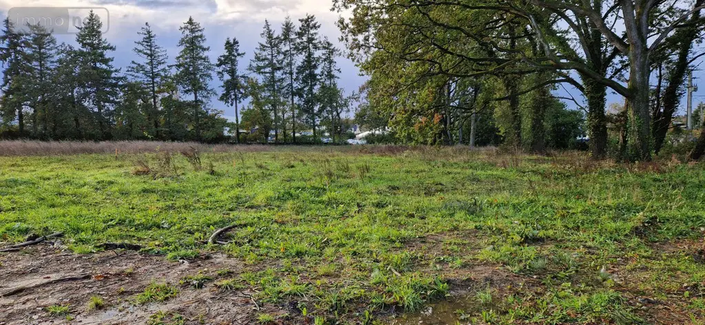Terrain a batir a vendre Ploërmel 56800 Morbihan 56 69200 euros 35176/486 009
